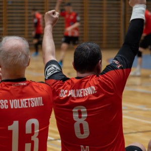 Ligaerhalt Herren 2
